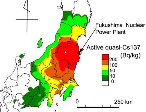 Dopo il disastro di Fukushima: rilevamenti sugli insetti