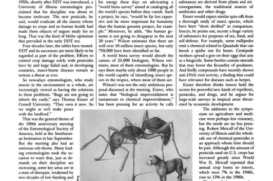 Gli entomologi si stanno “estinguendo”?