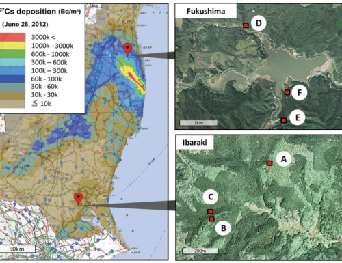 Come si trasferisce la radioattività agli insetti forestali (Fukushima)